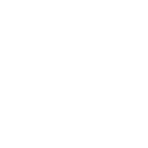 IBY Software